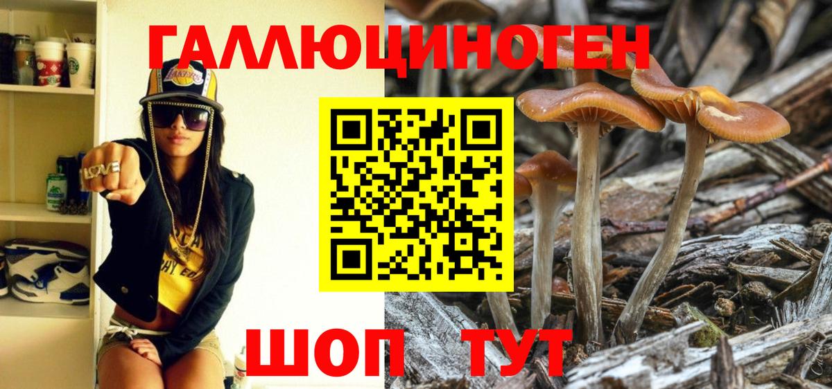 Псилоцибиновые грибы GOLDEN TEACHER  Псилоцибиновые грибы Psilocybe  Вход с VPN  Красногорск 